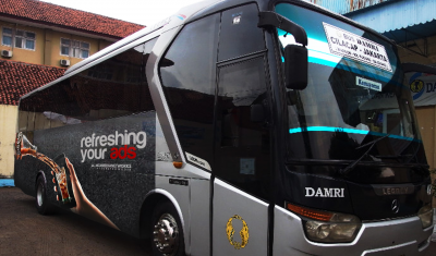 FULL BODY BRAND DAMRI