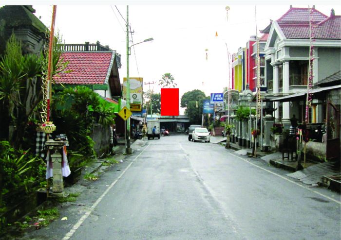 BALIHO PERTIGAAN BANYUATIS BALI